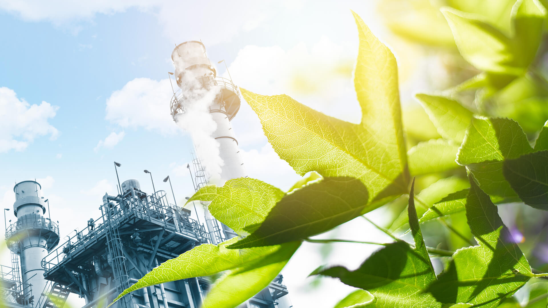 Titelbild_Nachhaltige_Umwelt_Bioprozesstechnik-1.jpg