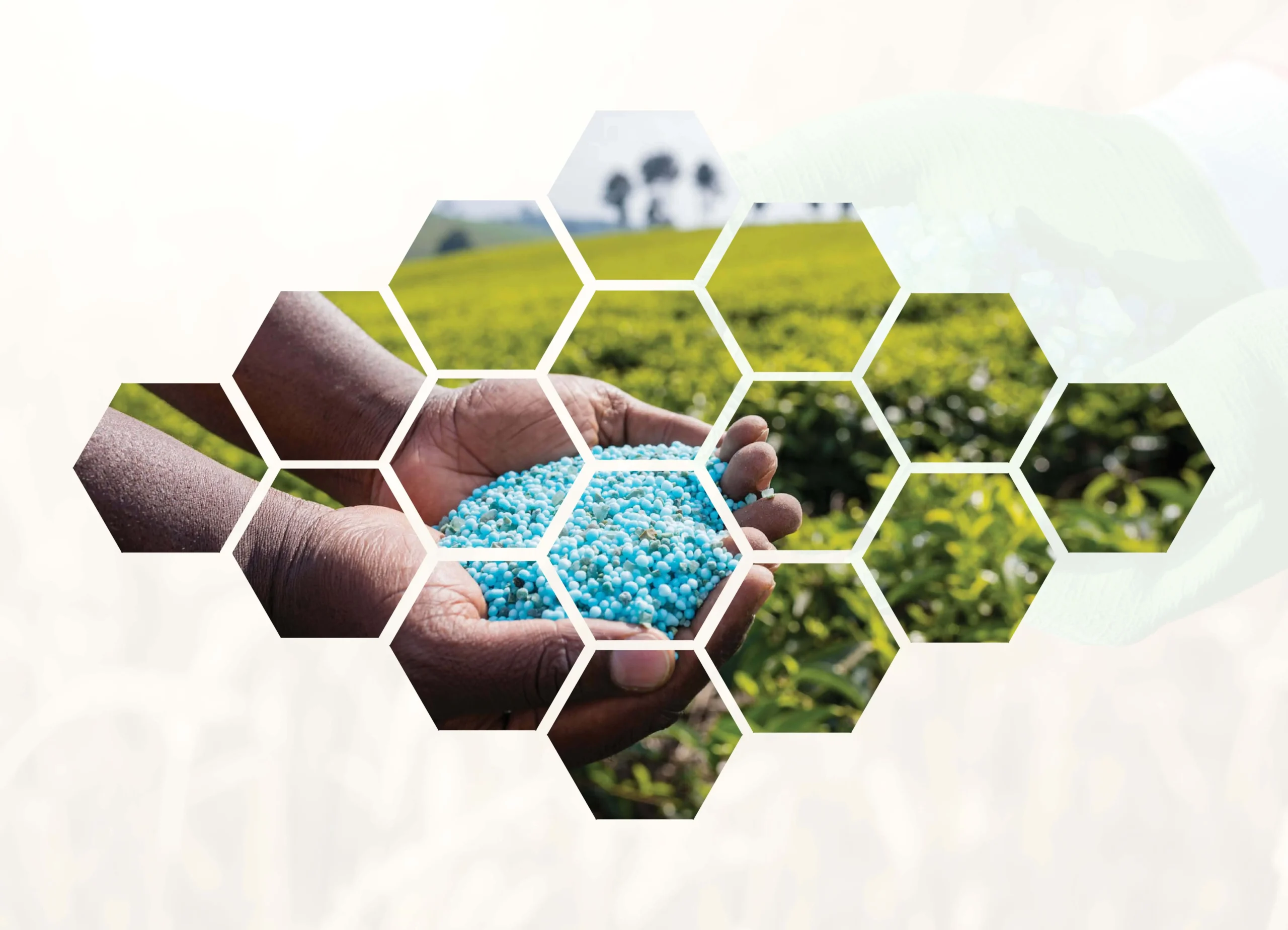 chemical-fertilizers-trading-01